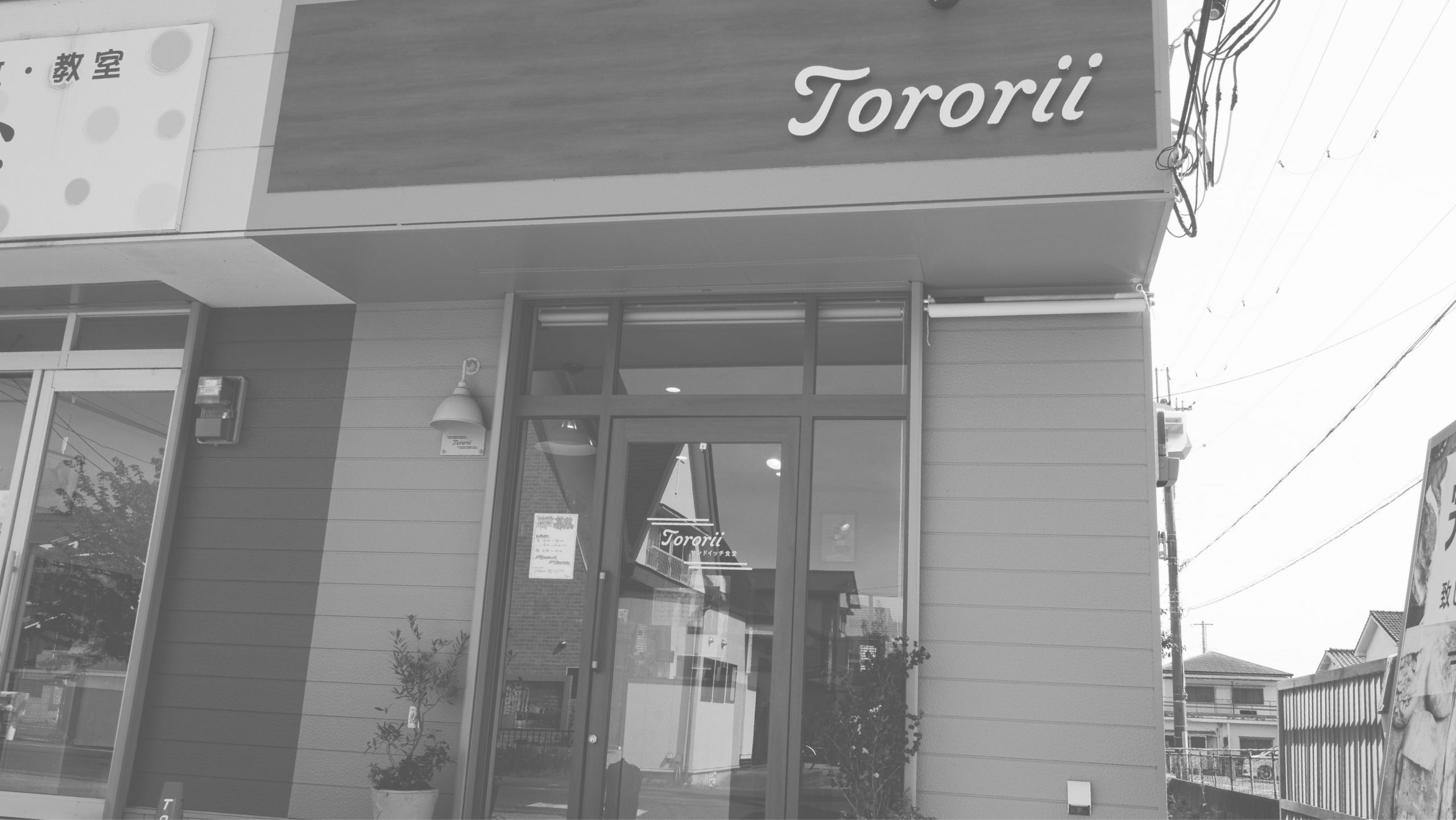 Tororii